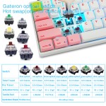 Mini Keyboard Factory - SKYLOONG 61 Keys 60% Wired Mechanical