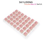 Optical Switch Supplier - Skyloong Chocolate Tactile Linear Optical
