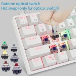 Optical Switch Manufacturer - SK64 Gateron Optical Switches