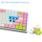 Customization Manufacturer - SKYLOONG 84 Keys 80% RGB Customization