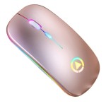 Wireless Gaming Mouse Manufacturer - Rechargeable Hot Selling Product