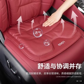 Seat Cushion Supplier - Advanced Sense Luxury Single