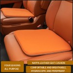 Seat Cushions Supplier - 2023 High Quality Luxury Leather