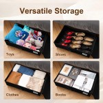 Underbed Storage Manufacturer - NADUO Organizer Bag Shoes
