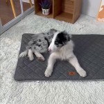 Suede Saddle Cover Factory - Flamingo Suede Saddle Car