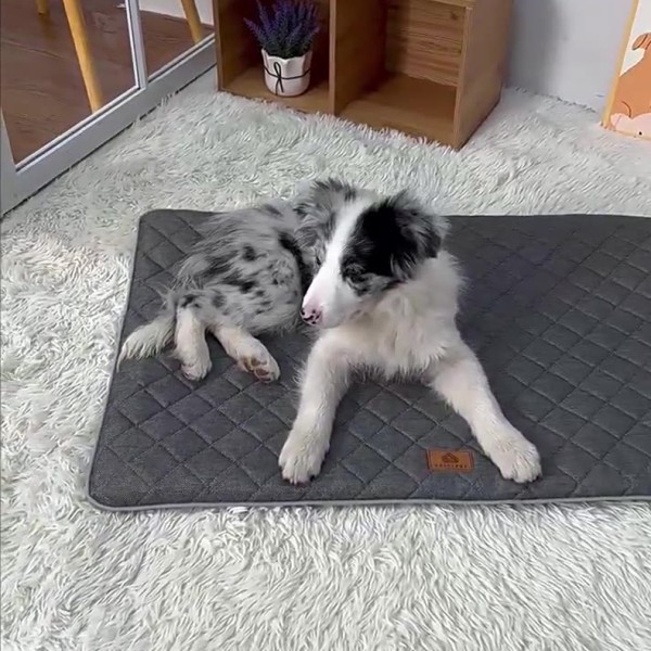 Suede Saddle Cover Factory - Flamingo Suede Saddle Car