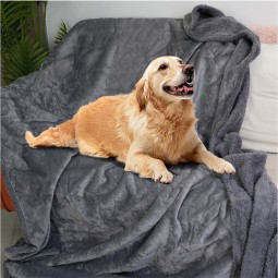 Storage Box Manufacturer - 50L Waterproof Polyester Trunk