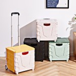Storage Container Factory - Travel Suitcase Foldable Stackable Plastic