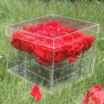Flower Box Factory - 16 Slots Acrylic Rose Holder Customized Design