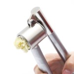 Garlic Press Supplier - Hot Selling Convenience Professional