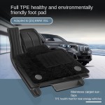 Car Floor Mats Manufacturer - Full TPE for BMW X5 23 Models