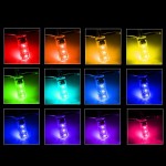 T10 LED Light Manufacturer - 5050 6SMD RGB Remote Control Strobe