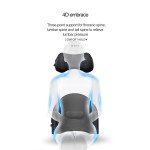 Backrest Cushion Manufacturer - Driver Seat Backrest Car