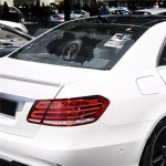 Reflective Decal Supplier - Car Reflective Stickers Rear