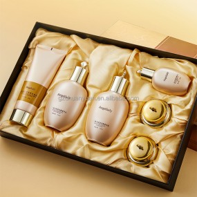 Wholesale Price Sodium Hyaluronate Moisturizing and Brightening Facial Kit Anti-Aging Skin Care Set Custom Logo