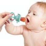 Baby Fruit Feeder Supplier - PP Handle with Silicone Mesh Bag SML Sizes