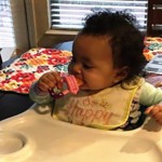 Vegetable Fruit Feeder Factory - Easy Clean Fresh Food Feeder Hot Sale