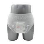 Period Panties Manufacturer - OEM/ODM Private Label & Bulk