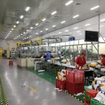 Printed Pull up Pants Factory - Incontinence Diaper