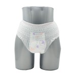 Disposable Menstrual Pants Manufacturer - OEM Custom & Wholesale