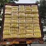 Newborn Diaper Manufacturer - Soft & Disposable