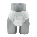 Quick-Dry Period Underwear Manufacturer - Disposable