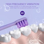 Rechargeable Electric Toothbrush Factory - OEM 5 Modes