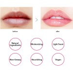 Lip Balm Supplier - Private Label 10g Vegan Flavoured