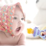 Baby Pacifier Feeder Supplier - Newborn Food Biting Fruit Vegetable Feeder