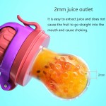 Baby Fruit Feeder Manufacturer - BPA Free Cute Silicone Soother Pacifier