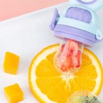 Baby Pacifier Feeder Supplier - Newborn Food Biting Fruit Vegetable Feeder