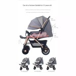 Infant Stroller Factory - Foldable Convertible for Toddler Explore