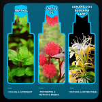 Hair Powder Spray Factory - Matte Texture Powder Volume up B2B Wholesale