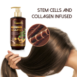 Anti Hair Loss Shampoo Factory - Custom 3 in 1 Protect Formula Set