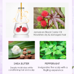 Hair Treatment Manufacturer - Leave in Shine Conditioner Private Label