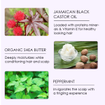 Hair Shampoo Set Factory - Custom Box Natural Wave Care Products