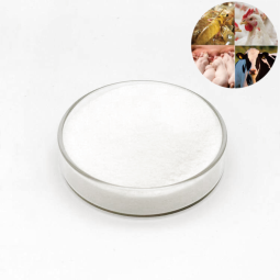 Betaine Hcl 95% Powder for Fishing and Animal Feed Additives Inducing Food and Promoting Growth