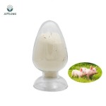 Betaine Hcl 95% Aquatic Animals Growth Promoting Feed Additives in Powder Form