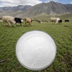 Betaine Hydrochloride for Fish Feed Vitamin Supplements for Animal Growth and Food Promotion