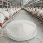 营养甜菜碱Hcl 95%维生素饲料添加剂促进水产动物生长