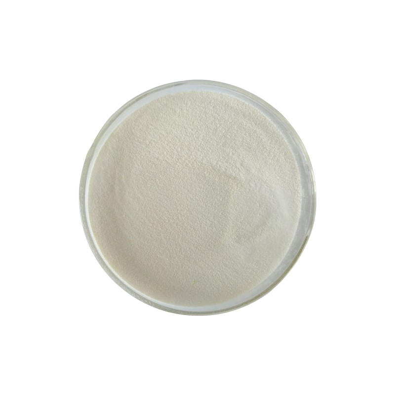 High Activity Bacterial Probiotic Lactobacillus Acidophilus Powder 200 Billion CFU/g Premium Probiotics Supplement