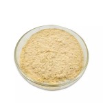 热卖家用好氧菌益生菌生物酶油脂降解隔油池废物管理