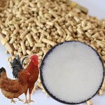 食品级丁基羟基甲苯（BHT）抗氧化粉末CAS 128-37-0食品添加剂动物化学助剂
