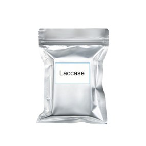 Laccase Enzyme Powder for Industrial Purposes Waste Water Treatment Paper Making Juice Clarification Baking Liquid Laccase