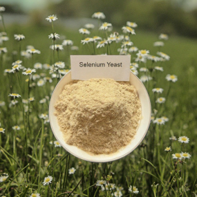 High Quality 2000 Mg/kg Selenium Yeast Powder Premium Feed Additives Organic Selenium for Animals Enhancing Immunity
