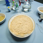 High Quality Organic Manure Compost Fertilizer Biological Powder Enhancing Soil Fertility Sustainable and Eco-Friendly