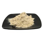 工业级脂酶粉状胶囊食品酶直接从工厂供应