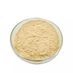 生物酶生物粉末水净化水处理好氧细菌