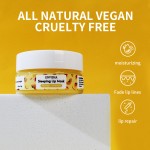 Lip Balm Supplier - Organic Coconut Oil Day Night Repair