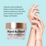 Nail Polish Oil Manufacturer - Herbal Nail Repair Strengthener Oil